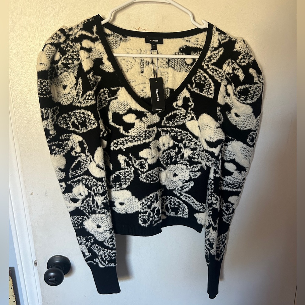 NWT- Express Luxury Sweater